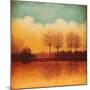 Reflections of Autumn II-Neil Thomas-Mounted Art Print