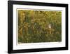 Reflections of Autumn-Donald Satterlee-Framed Giclee Print