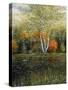 Reflections of Autumn-Kevin Dodds-Stretched Canvas