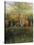 Reflections of Autumn-Kevin Dodds-Stretched Canvas