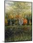 Reflections of Autumn-Kevin Dodds-Mounted Giclee Print