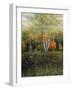 Reflections of Autumn-Kevin Dodds-Framed Giclee Print