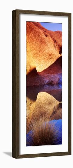 Reflections of Ayers Rock at Mutitjulu Waterhole, Uluru-Kata Tjuta National Park-null-Framed Photographic Print