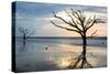 Reflections of Boneyard Beach-Danny Head-Stretched Canvas