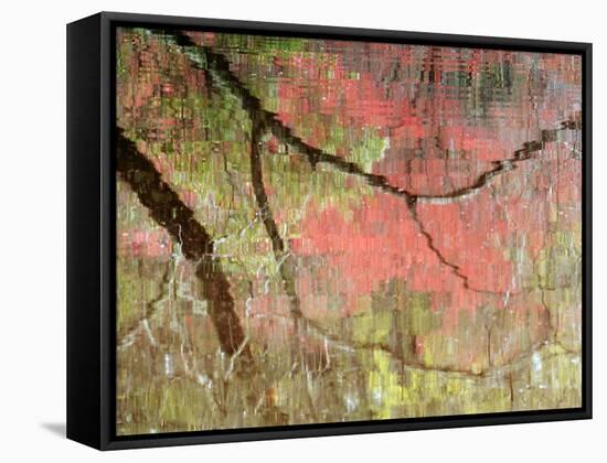 Reflections of Early Spring Buds in Pond, Callaway Gardens, Georgia, USA-Nancy Rotenberg-Framed Stretched Canvas