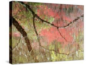 Reflections of Early Spring Buds in Pond, Callaway Gardens, Georgia, USA-Nancy Rotenberg-Stretched Canvas