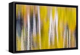 Reflections of Fall I-Kathy Mahan-Framed Stretched Canvas