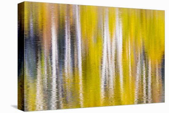 Reflections of Fall I-Kathy Mahan-Stretched Canvas