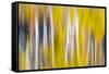 Reflections of Fall I-Kathy Mahan-Framed Stretched Canvas