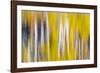 Reflections of Fall I-Kathy Mahan-Framed Photographic Print