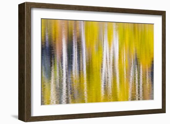 Reflections of Fall I-Kathy Mahan-Framed Photographic Print