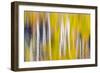 Reflections of Fall I-Kathy Mahan-Framed Photographic Print