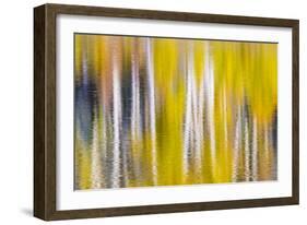 Reflections of Fall I-Kathy Mahan-Framed Photographic Print