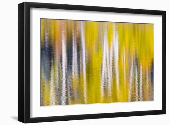 Reflections of Fall I-Kathy Mahan-Framed Photographic Print