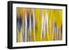 Reflections of Fall I-Kathy Mahan-Framed Photographic Print