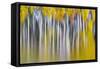 Reflections of Fall II-Kathy Mahan-Framed Stretched Canvas