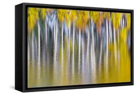 Reflections of Fall II-Kathy Mahan-Framed Stretched Canvas