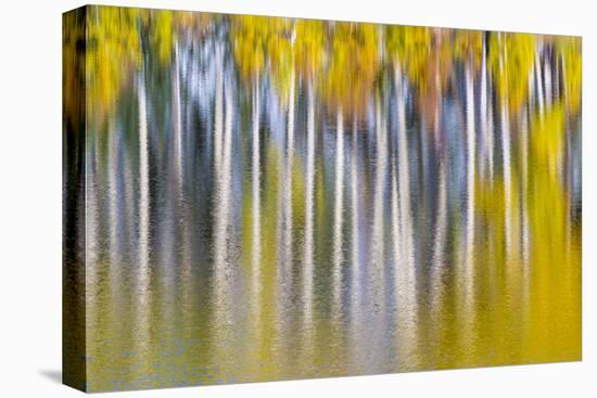 Reflections of Fall II-Kathy Mahan-Stretched Canvas