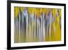 Reflections of Fall II-Kathy Mahan-Framed Photographic Print