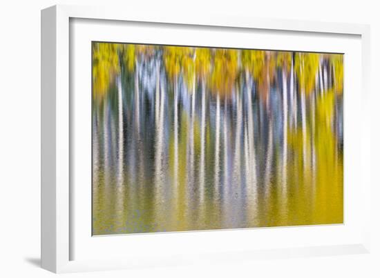 Reflections of Fall II-Kathy Mahan-Framed Photographic Print