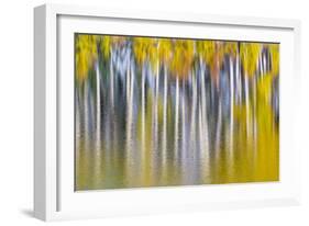 Reflections of Fall II-Kathy Mahan-Framed Photographic Print