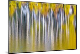 Reflections of Fall II-Kathy Mahan-Mounted Photographic Print