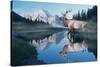 Reflections of Glacier-Gordon Semmens-Stretched Canvas