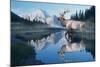 Reflections of Glacier-Gordon Semmens-Mounted Photographic Print