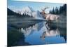 Reflections of Glacier-Gordon Semmens-Mounted Photographic Print