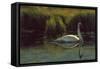 Reflections of Grace-Michael Budden-Framed Stretched Canvas