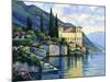 Reflections of Lago Maggiore-John Zaccheo-Mounted Giclee Print