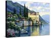 Reflections of Lago Maggiore-John Zaccheo-Stretched Canvas