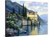 Reflections of Lago Maggiore-John Zaccheo-Stretched Canvas