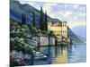 Reflections of Lago Maggiore-John Zaccheo-Mounted Giclee Print