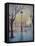 Reflections of Lamp Post Dome Church, 2010-Antonia Myatt-Framed Stretched Canvas