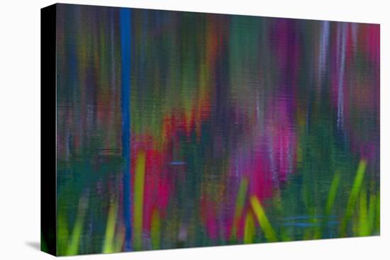 Reflections of leaves on the pond, this abstract pattern resulted.-Mallorie Ostrowitz-Stretched Canvas