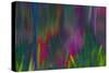 Reflections of leaves on the pond, this abstract pattern resulted.-Mallorie Ostrowitz-Stretched Canvas