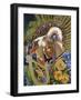 Reflections Of Life-Graeme Stevenson-Framed Giclee Print