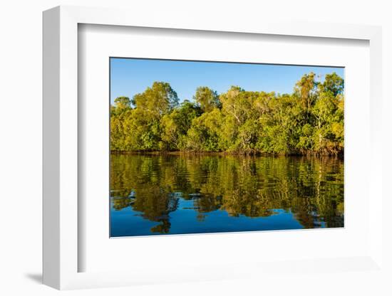 Reflections of mangroves in Pumicestone Passage, Queensland, Australia-Mark A Johnson-Framed Photographic Print