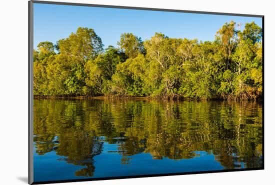 Reflections of mangroves in Pumicestone Passage, Queensland, Australia-Mark A Johnson-Mounted Photographic Print