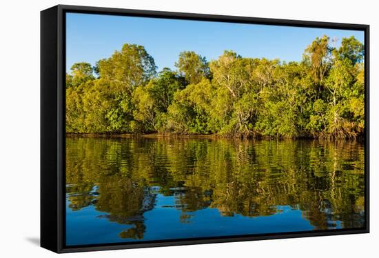 Reflections of mangroves in Pumicestone Passage, Queensland, Australia-Mark A Johnson-Framed Stretched Canvas