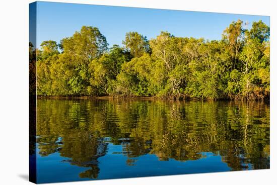 Reflections of mangroves in Pumicestone Passage, Queensland, Australia-Mark A Johnson-Stretched Canvas