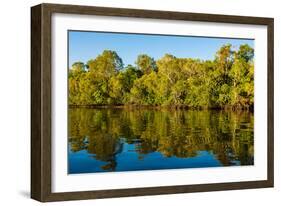 Reflections of mangroves in Pumicestone Passage, Queensland, Australia-Mark A Johnson-Framed Photographic Print