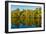 Reflections of mangroves in Pumicestone Passage, Queensland, Australia-Mark A Johnson-Framed Photographic Print