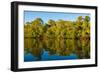 Reflections of mangroves in Pumicestone Passage, Queensland, Australia-Mark A Johnson-Framed Photographic Print