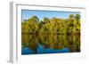 Reflections of mangroves in Pumicestone Passage, Queensland, Australia-Mark A Johnson-Framed Photographic Print