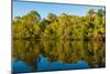 Reflections of mangroves in Pumicestone Passage, Queensland, Australia-Mark A Johnson-Mounted Photographic Print