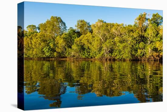 Reflections of mangroves in Pumicestone Passage, Queensland, Australia-Mark A Johnson-Stretched Canvas