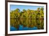 Reflections of mangroves in Pumicestone Passage, Queensland, Australia-Mark A Johnson-Framed Photographic Print