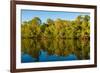 Reflections of mangroves in Pumicestone Passage, Queensland, Australia-Mark A Johnson-Framed Photographic Print